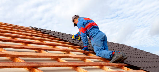 Best Hot Roofs  in Danvle, IL