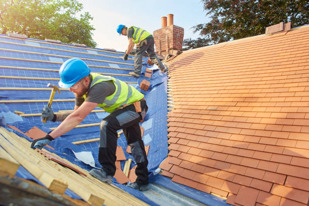 Best Storm Damage Roof Repair  in Danvle, IL